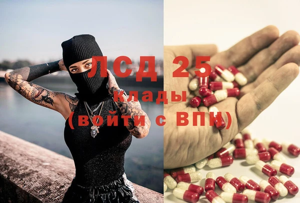 тгк Абинск