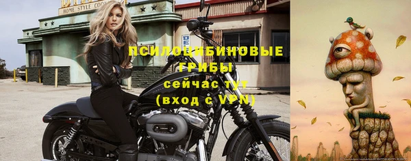 винт Абаза
