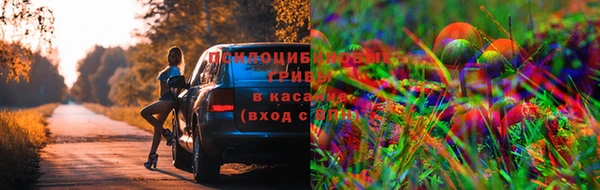 MDMA Алексин